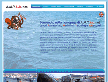 Tablet Screenshot of amysub.net